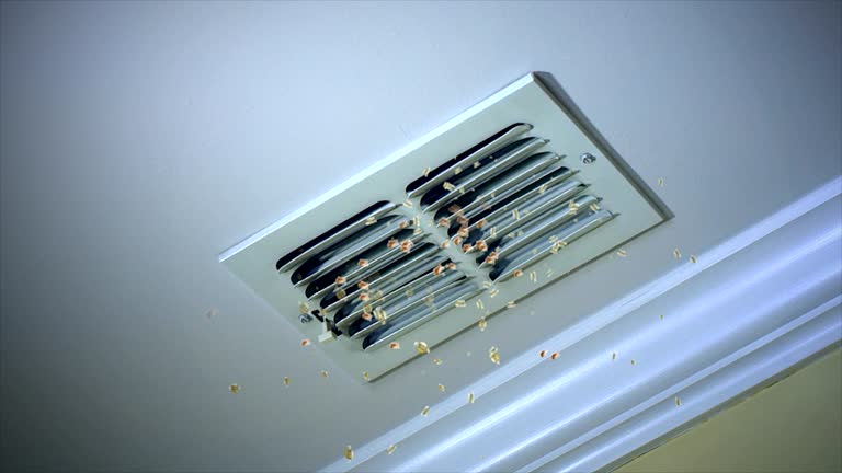 Best Commercial HVAC Duct Cleaning  in Vonore, TN